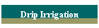 Drip Irrigation