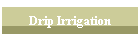 Drip Irrigation